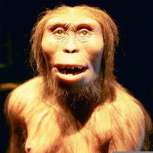 Meet your Posher, Mario